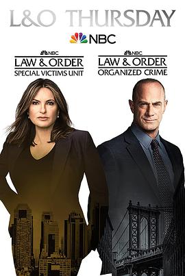 《法律与秩序：特殊受害者第二十四季》